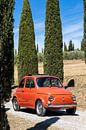 Fiat in Cypress Avenue (9) by Jolanda van Eek en Ron de Jong thumbnail