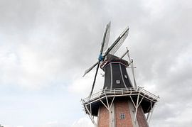 Molen Grauwe Kiekendief
