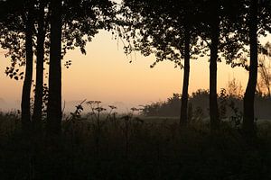 Ochtendstemming