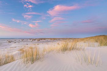 Rosa Wolken über dem Strand