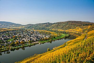 Moselle avec des vignobles en automne
