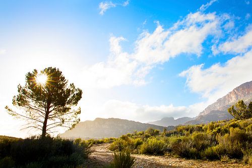 Zonsondergang op de Afrikaanse Cederberg