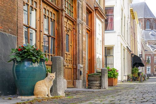Leiden op zijn mooist