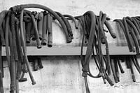 Hoses