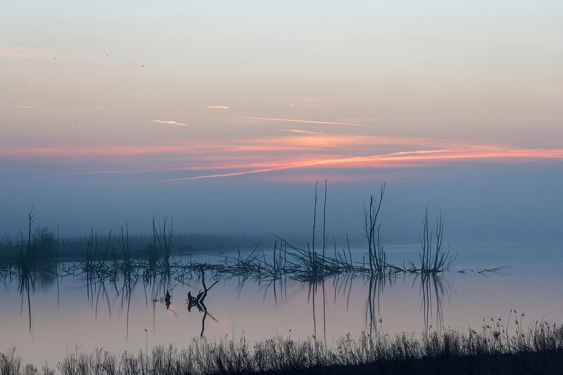 Misty morning by ton vogels