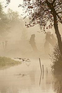 vogels in de mist van Dirk van Egmond
