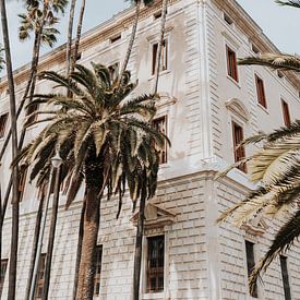 Palmbomen in de zonnige stad Malaga, Spanje van Iris van Tricht