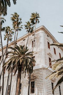 Palmbomen in de zonnige stad Malaga, Spanje van Iris van Tricht