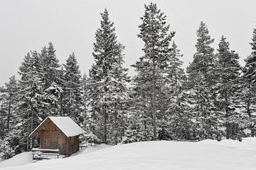 winterlandschap.