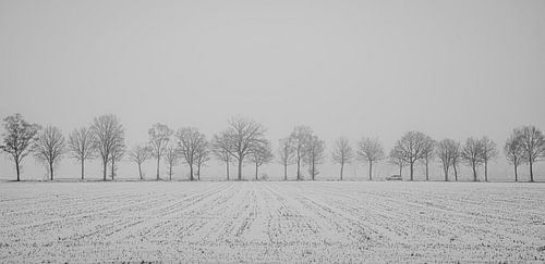 minimalistisch winterlandschap met akker en bomenrij
