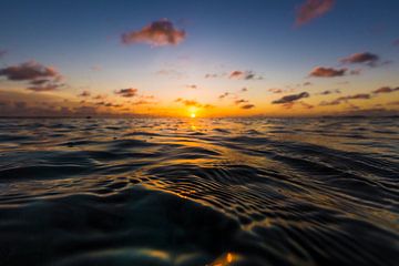 Bonaire zonsondergang van Andy Troy