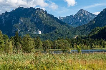 Gezicht op Neuschwanstein van Friedhelm Peters