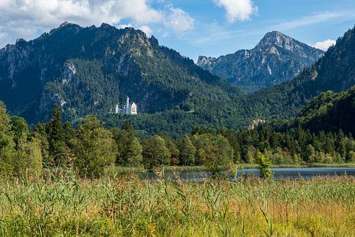 Vue de Neuschwanstein