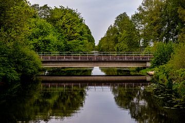 Brug van Ingrid Roelofsen