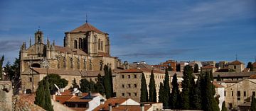 Panorama van Salamanca van Jan Maur