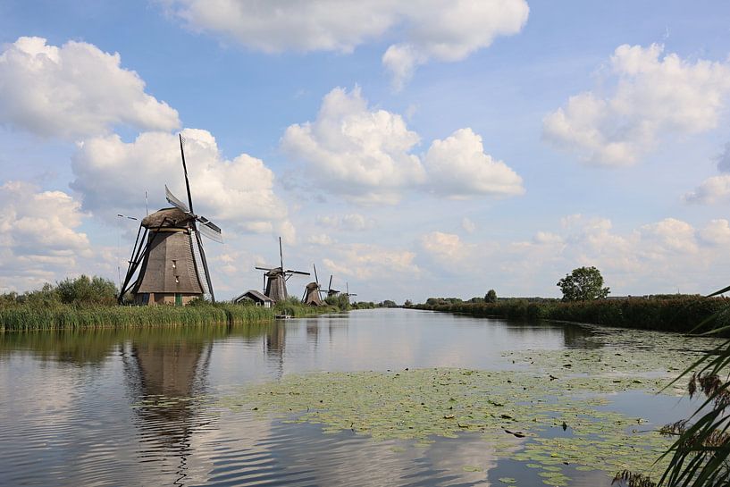 Traditional mills on the kinderdike on a beautiful summer day. by W J Kok