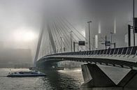 Mist bei der Erasmusbrücke von Frans Blok - Fotos, Kunst und weitere Wanddekoration Miniaturansicht