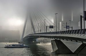 Mist bei der Erasmusbrücke