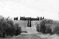 Typisch Italiaanse villa boven op een heuvel in zwart-wit
