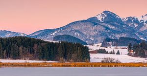Hopfen am See, Allgäu, Bayern, Deutschland