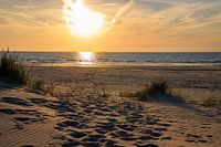 Sunset on the beach of Texel