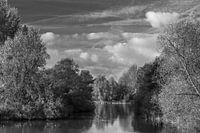 Hollandse Biesbosch