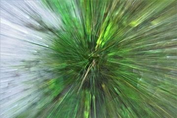 Abstracte dynamische groen witte zoom burst close up van Maud De Vries