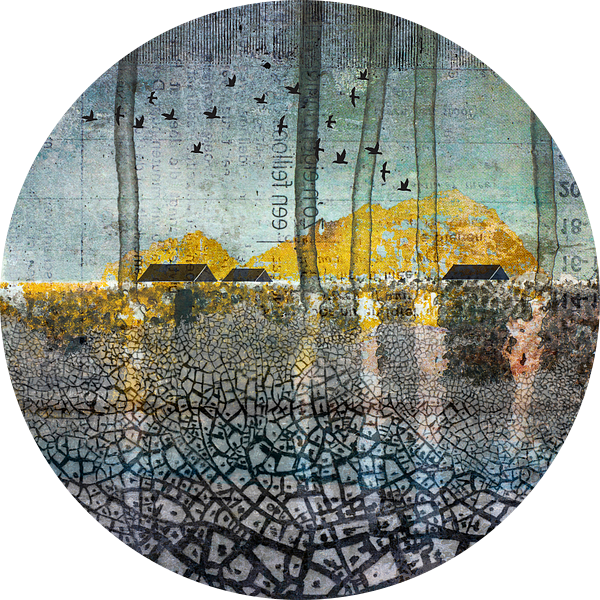 SCARS IN THE EARTH van db Waterman