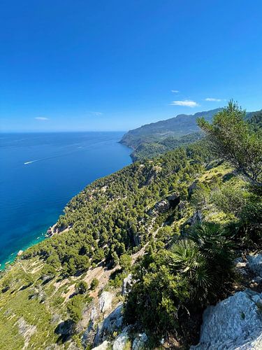 Mallorca - Landschap