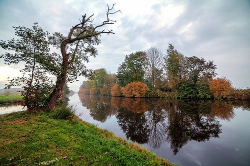 Herfst - Autumn in de polder van Leek Groningen