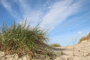 Dunes de la mer Baltique