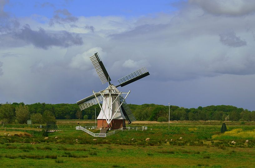 Holländische Windmühle / Holländische Windmühle von Joyce Derksen