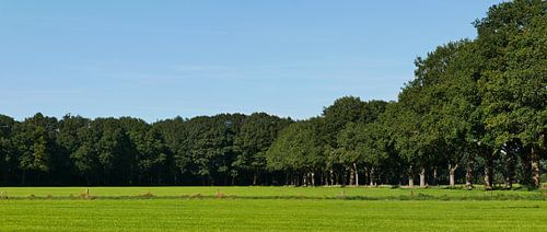 Drents coulisselandschap