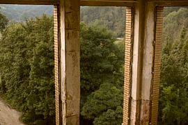 Hotel Butterfly by True Color Stories