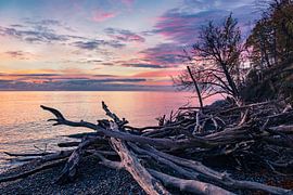 Ostseeküste auf der Insel Moen in Dänemark sur Rico Ködder