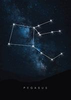 Celestial Stallion: Pegasus Constellation Poster