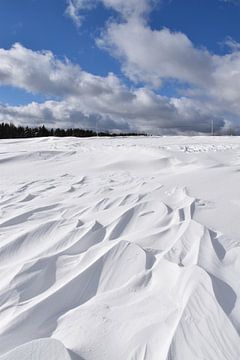 Het effect van wind op sneeuw van Claude Laprise