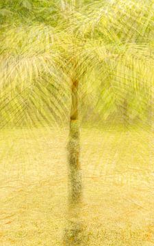 Palm van Minie Drost