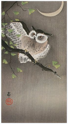 Ohara Koson - Ural owl on ginkgo branch and crescent moon (edited)