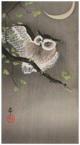 Ohara Koson - Oeraluil op ginkgo-tak en maansikkel (bewerkt) van Peter Balan