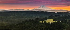 Panoramafoto von Mount Hood von Henk Meijer Photography