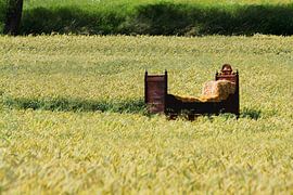 A bed in a cornfield II by Ruth Klapproth