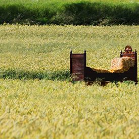 A bed in a cornfield II sur Ruth Klapproth