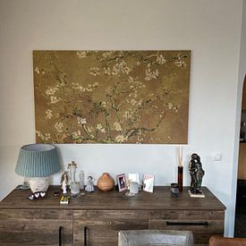 Kundenfoto: Mandelblüte ALMOND BLOSSOM ocker - Vincent van Gogh, auf leinwand