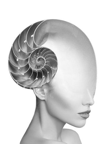 Bescherming. Portret dubbele belichting