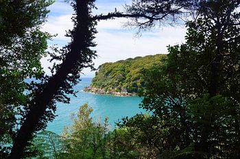 Die türkisfarbene Bucht von Te Pukatea