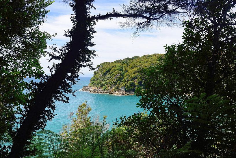 The turquoise coloured Te Pukatea Bay by Frank's Awesome Travels