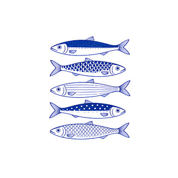 Echoes of the Deep: Ein Quintett mit „Blue Fish“