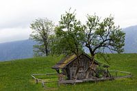 Alpiene eenvoud: hutje op de berg, Brandnertal