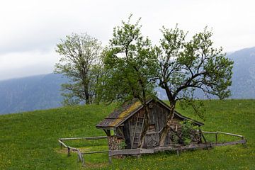 Alpiene eenvoud: hutje op de berg, Brandnertal van Joy Mennings